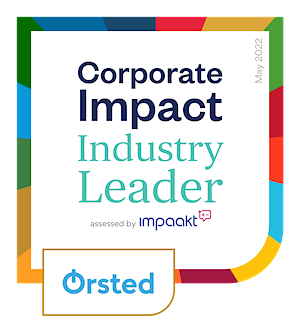 Orsted First Solar Industry Leader Badge